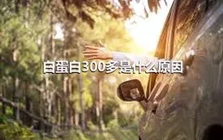 白蛋白300多是什么原因