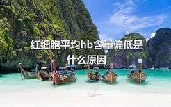 红细胞平均hb含量偏低是什么原因