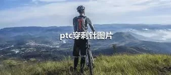 ptc穿刺针图片