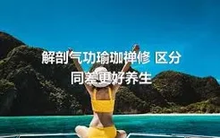 解剖气功瑜珈禅修 区分同差更好养生