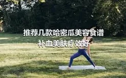 推荐几款哈密瓜美容食谱 补血美肤疗效好