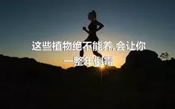 这些植物绝不能养,会让你一整年倒霉