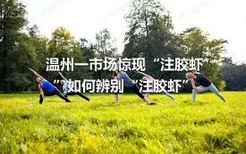 温州一市场惊现“注胶虾”如何辨别“注胶虾”