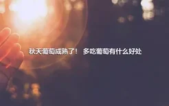 秋天葡萄成熟了！ 多吃葡萄有什么好处