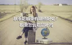 秋季吃板栗有哪些好处？ 板栗怎么吃最补肾