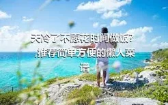 天冷了不愿花时间做饭？,推荐简单方便的懒人菜谱