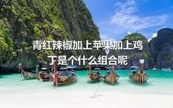 青红辣椒加上苹果加上鸡丁是个什么组合呢