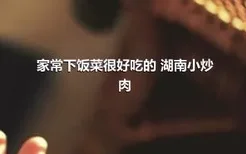 家常下饭菜很好吃的 湖南小炒肉