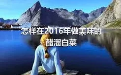 怎样在2016年做美味的醋溜白菜