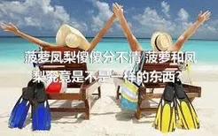 菠萝凤梨傻傻分不清 菠萝和凤梨究竟是不是一样的东西？