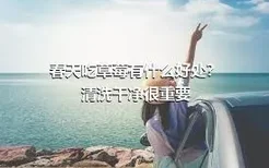 春天吃草莓有什么好处？清洗干净很重要