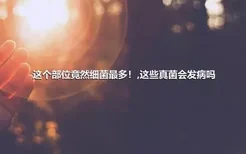 这个部位竟然细菌最多！,这些真菌会发病吗