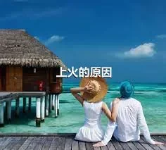 上火的原因