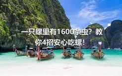 一只螺里有1600条虫？教你4招安心吃螺！