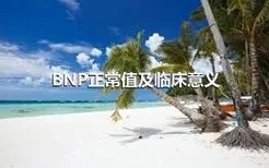 BNP正常值及临床意义