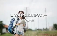 山麦健脾口服液喝多久一个疗程