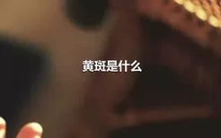 黄斑是什么