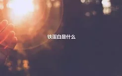 铁蛋白是什么