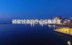 硝酸甘油治疗心绞痛原理