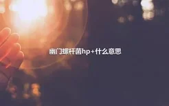 幽门螺杆菌hp+什么意思