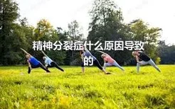 精神分裂症什么原因导致的