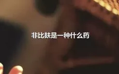 非比麸是一种什么药