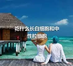 吃什么长白细胞和中性粒细胞