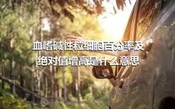 血嗜碱性粒细胞百分率及绝对值增高是什么意思