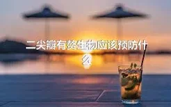 二尖瓣有赘生物应该预防什么