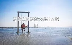 牙齿稀疏牙缝大是什么原因