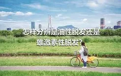 怎样分辨是油性脱发还是雄激素性脱发？