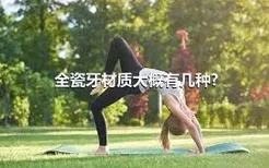 全瓷牙材质大概有几种?