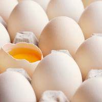 鸡蛋的营养成分有哪些