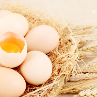 鸡蛋和鸭蛋哪个营养价值高
