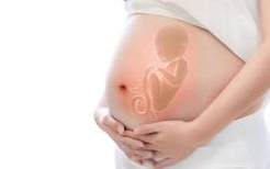 妇女孕期检查时间及项目