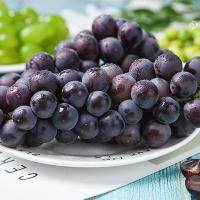 葡萄的热量 葡萄的热量是多少大卡
