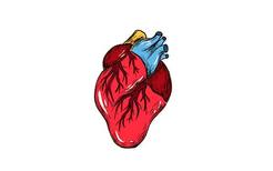 心脏供血不足的症状 心脏供血不足有什么症状