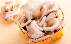 炸蘑菇的家常做法 炸蘑菇的正确做法