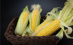 玉米的功效与作用 吃玉米有什么好处