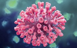 世界卫生组织通告：无证据显示新冠病毒会在夏季消失