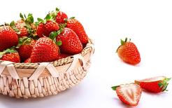草莓是温性的还是凉性